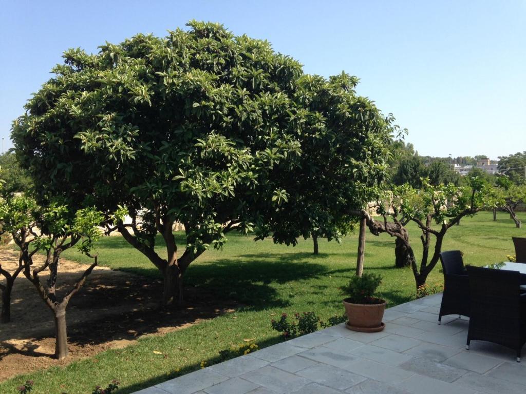توليي Masseria Carignani المظهر الخارجي الصورة